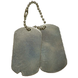 Stainless Steel&nbsp;2pc Set GI Dog Tag